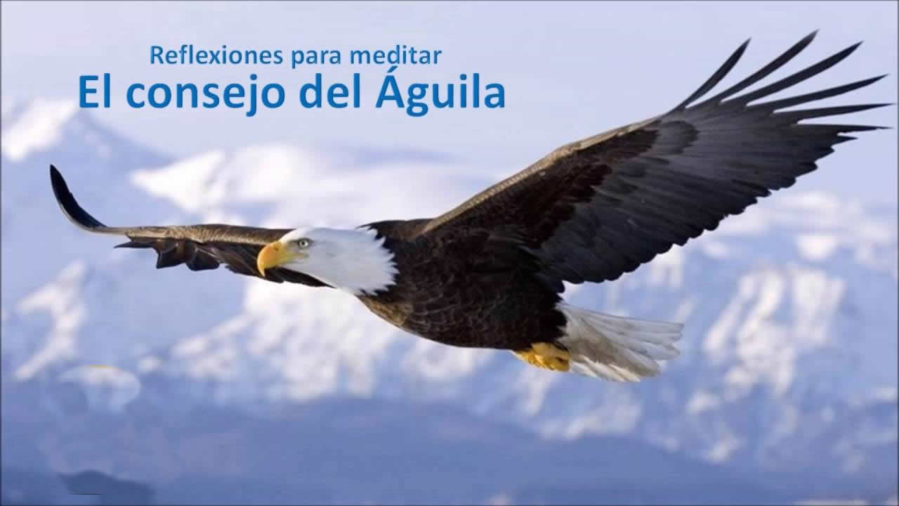 El consejo del águila-Reflexión – Refleja Centro Holistico