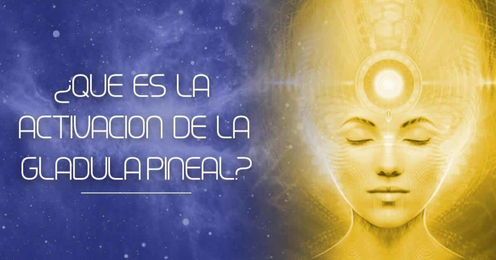 Qué es la Glándula Pineal y la Pituitaria