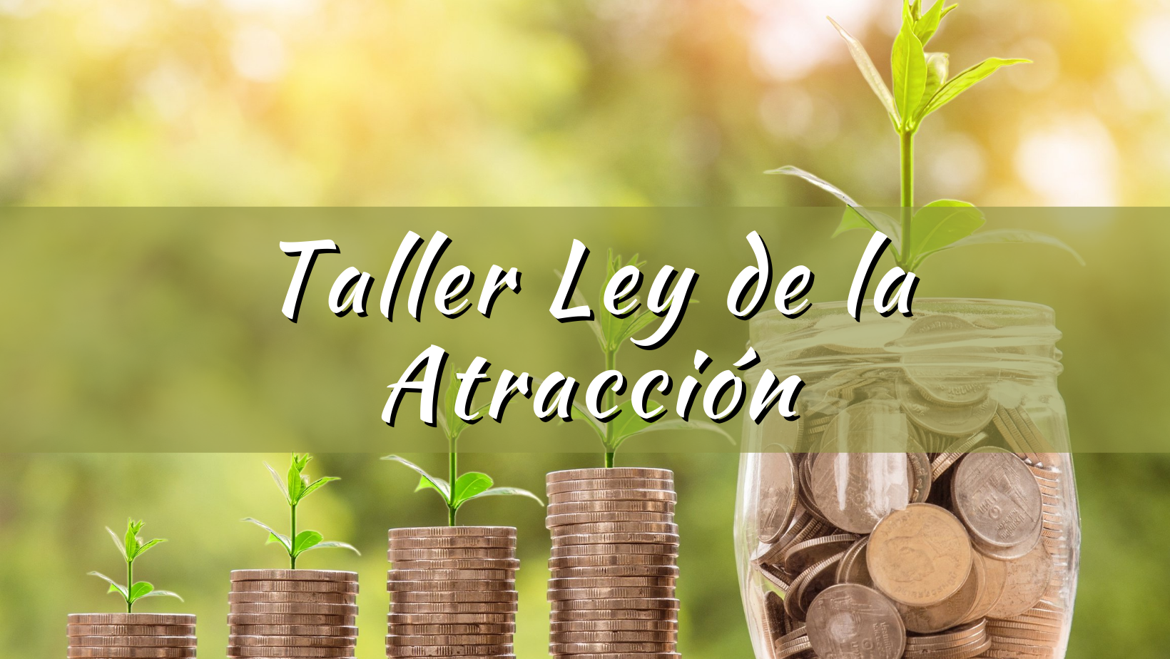 TALLER VIVENCIAL: La Ley de la Atracción