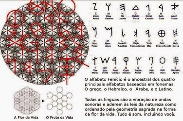 ¿En qué puede ayudarme la Geometría Sagrada Flor de la Vida? Refleja Desarrollo Humano